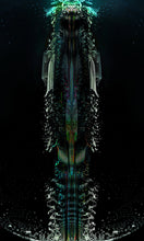 Load image into Gallery viewer, TOTEM XIII | LIMITED EDITION SIGNED PRINT
