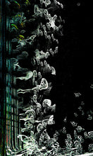 Load image into Gallery viewer, TOTEM XIII | LIMITED EDITION SIGNED PRINT